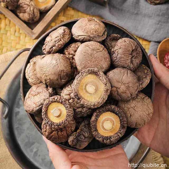 农家精选！西峡香菇干货500g无根干香菇