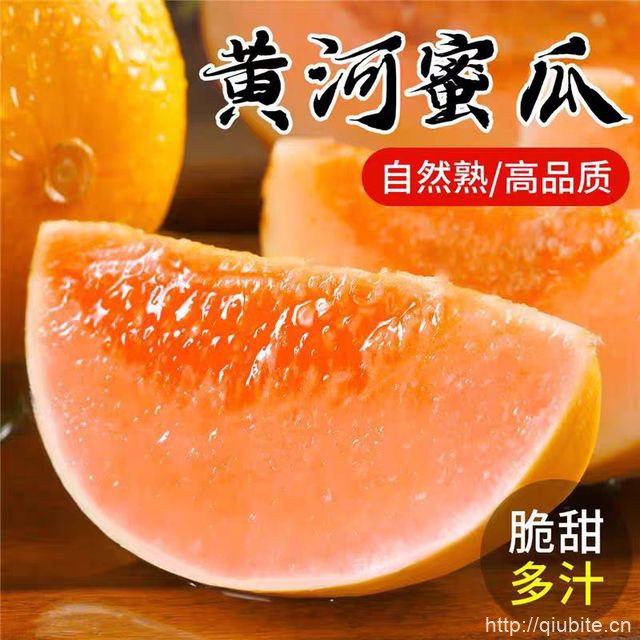 正宗黄河蜜瓜4.5斤！单果400g+