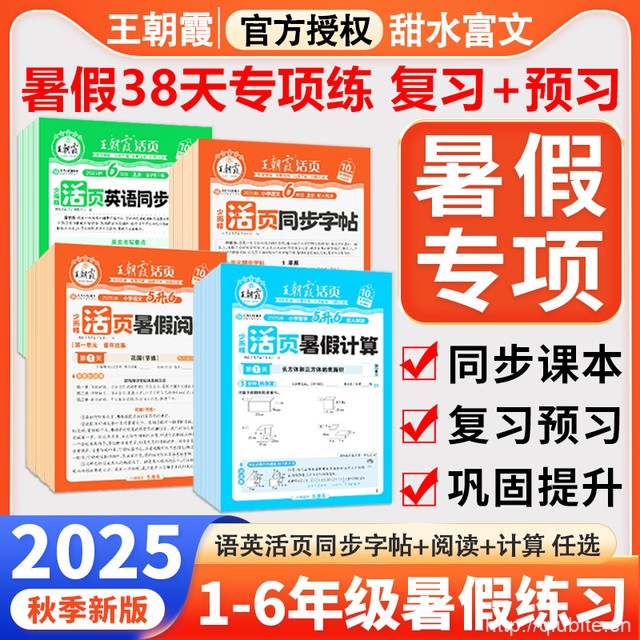 2025新版王朝霞暑假38天专项训练【1-6】