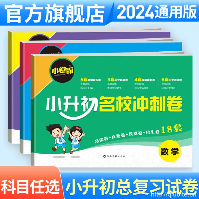 2025版小升初名校冲刺卷衔接小学生