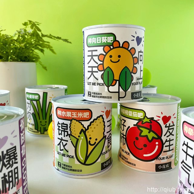 【任选3件】办公室绿植小盆栽