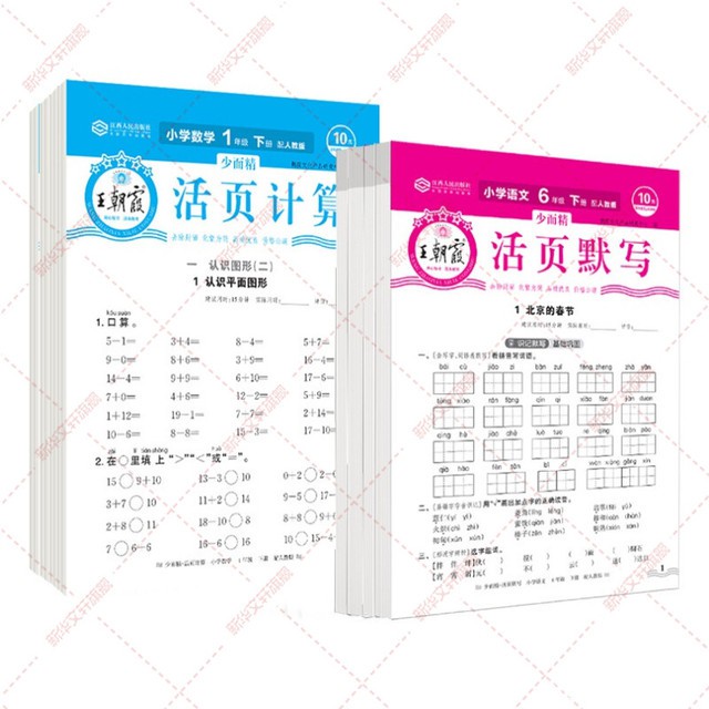 2025新版活页默写能手王朝霞试卷
