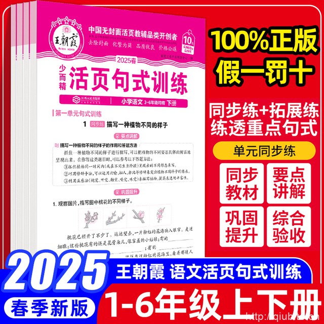 2025春王朝霞活页句式训练