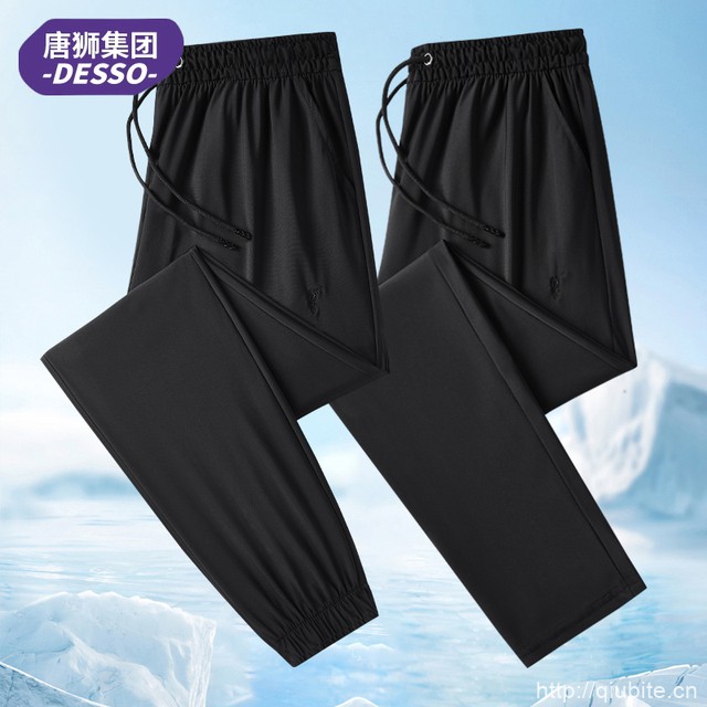 唐狮旗下DESSO男士夏季绣花冰丝裤薄款