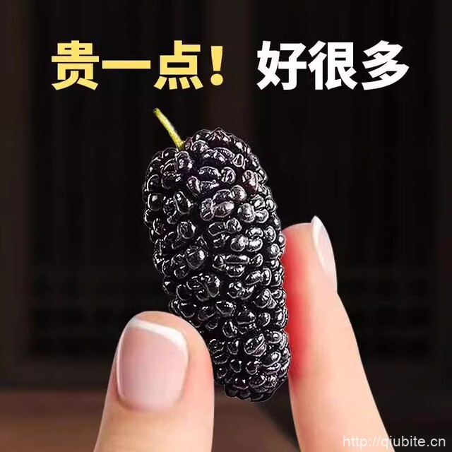 手工精选黑桑葚干【500g】