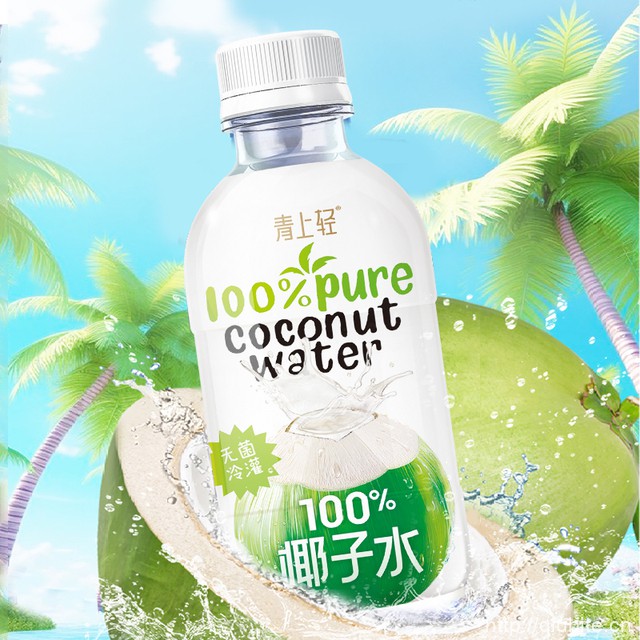 青上轻纯椰子水果汁/300ml*8瓶