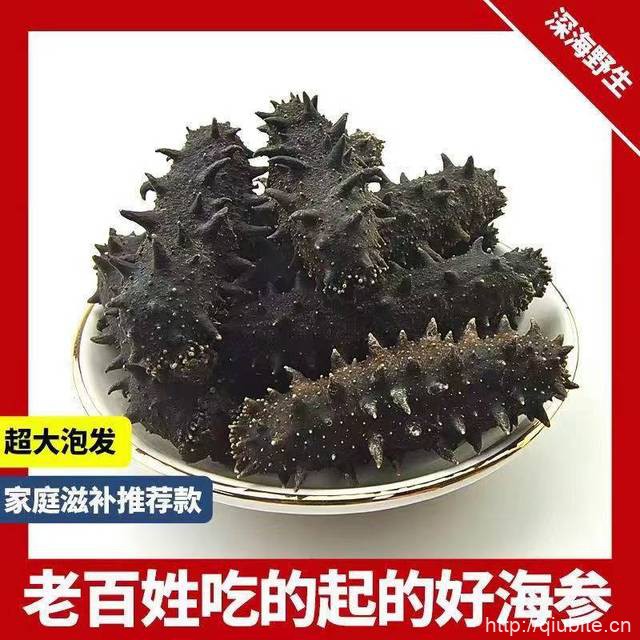 精选辽宁海参一根【长3-6厘米】