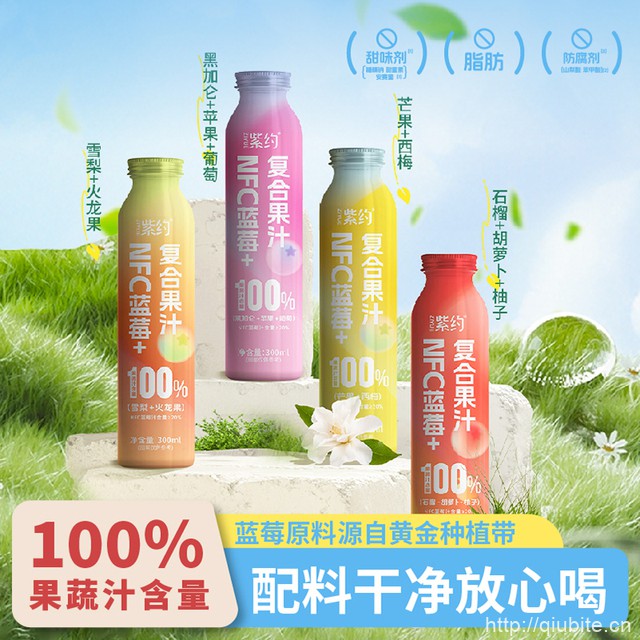 拍四件！紫约蓝莓复合果汁300ml*4瓶