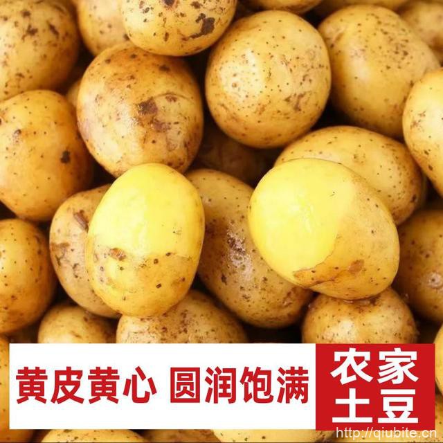 【农场直发】正宗黄心土豆9斤